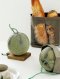 Cantaloupe Model