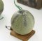 Cantaloupe Model