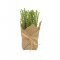 Wrapped Artificial Potted Herb