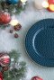 Red & Deep Blue Plastic Plates