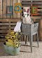 Benjara Multi Functional Galvanized Metal Tub on Stand, Gray