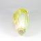 Artificial Napa Cabbage
