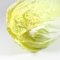 Artificial Napa Cabbage