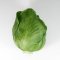 Green Cabbage