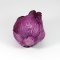 Purple Cabbage