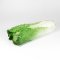 Chinese Cabbage-Michilli