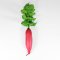 Radish (Red)