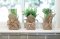 Wrapped Artificial Potted Herb
