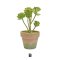 Artificial Plant in Pot