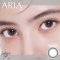 Aria gray