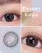peony gray (Blister)