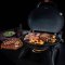 PORTABLE GAS GRILL GRILL 900 GREEN