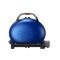 PORTABLE GAS GRILL GRILL 500 GREEN
