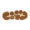 KEEN W-HYPERPORT H2 ( CHIPMUNK/BIRCH )