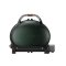 PORTABLE GAS GRILL GRILL 500 GREEN