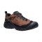 Men's Targhee IV Vented Hiking Shoe Bison/Black