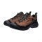 Men's Targhee IV Vented Hiking Shoe Bison/Black