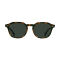 CLYVE ESPRESSO TORTOISE / GREEN POLARIZED