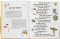 Pre-order (Eng) LET’S PLAY INDOORS! FUN CRAFTS FOR CHILDREN / Ryan Eyers, illustrated by Rachel Victoria Hillis
