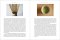 [ENG] Stories of Japanese Tea : The Regions, the Growers, and the Craft / Zach Mangan