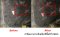 OR202 น้ำยาล้างคราบน้ำมัน คราบจารบี คราบกาว Oil & Grease Remover
