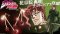 [Price 3,700/Deposit 2,700][MAR2022] Bandai JOJO Kakyoin Cherry Earrings, Jojo's BIzarre Adventure Part 3, Stardust Crusaders