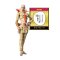  fanfigs_medicos_entertainment_super_action_statue_sas_jojo_s_bizarre_adventure_steel_ball_run_sbr_wekapipo_wonder_festival_summer_2025_wf2025s