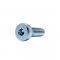 10.9 Steel Zinc Cr+3 low head socket cap screw