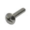 sus truss head screw (+-)