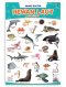 SMART POSTER HEWAN LAUT