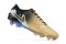 Nike Tiempo Legend 10 Elite FG Golden Touch - Metallic Gold Silk/Black