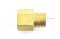 ข้อต่อตรงทองเหลือง (เกลียวนอก x เกลียวใน) 1/2" x 1/2"