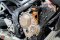 Honda CB650F ABS ปี2018