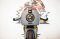 ขาย Ducati monster 797 ABS ปี 2018 แต่งคาเฟ่ สวยสุดๆ ราคาเล้าใจ