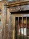M115 Old Teakwood Door with Iron Bars