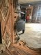 MR47 Vintage Carved Mirror Frame Rustic Green