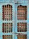 S60 Double TeakWood Door in Blue