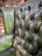 SC3 Chesterfield armchair and footstool