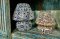 DCI10 Colorful Glass Lamps Set of 2