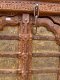 Old Indian Arch Door with Brass Elephants