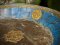 DCI53 Large One Wood Carved Plate