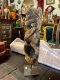 DCI59 Piece of Antique One Wood Carved with Stand