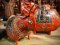 DCI106 Set Cows Painted Iron