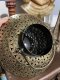 DCI118 Round Brass Candle Stand Lamp