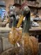 DCI126 One Wood Carving Shore Birds Set of 2
