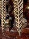 BRI25 Leafs brass door handles
