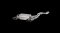 Akrapovic BMW M4 (F82, F83) - OPF/GPF 2020 Evolution Link Pipe Set (Titanium)