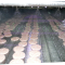 Chilled Water Over Spraying Conveyor