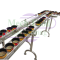 FLEXIBLE CHAIN CONVEYOR