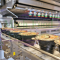 FLEXIBLE CHAIN CONVEYOR